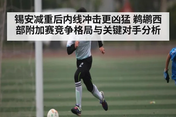 锡安减重后内线冲击更凶猛 鹈鹕西部附加赛竞争格局与关键对手分析 | kaiyun