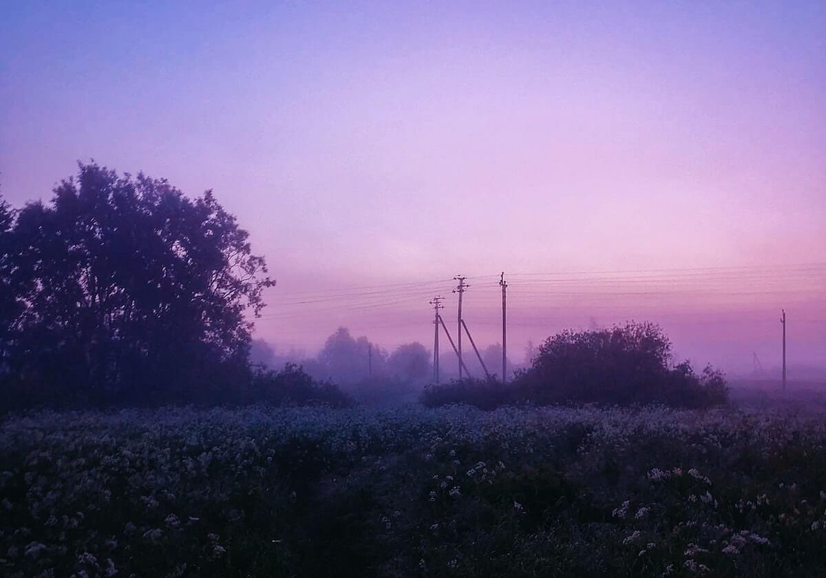 开云足球-11月16日呈阳 12月4日转阴 重上场 见家人 苏牙乐